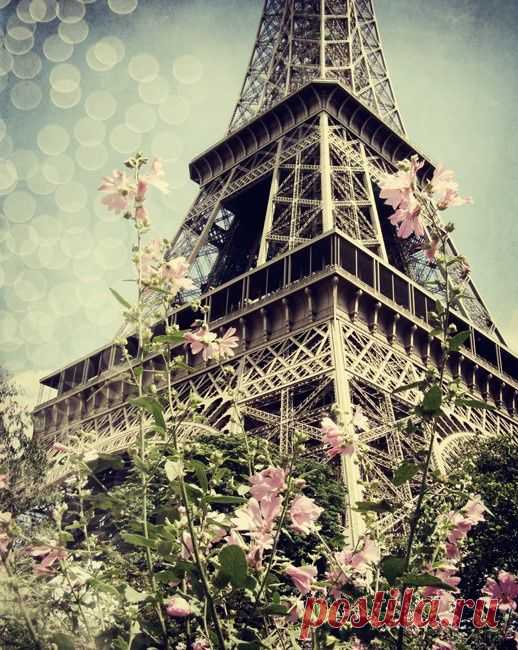 Cloud Nodes Photo - Paris in the spring 169428833123198
