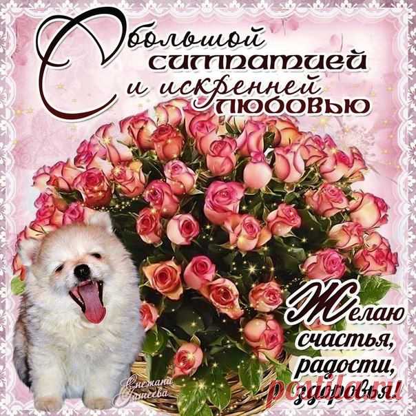 Плейкаст «С ИСКРЕННЕЙ ЛЮБОВЬЮ К ВАМ!!!»