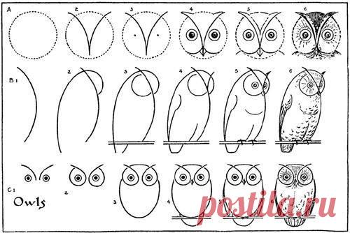 Урок рисования. Совушки.