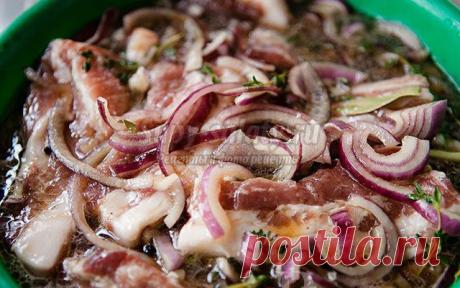 Какой шашлык лучше? Рекомендации по выбору мяса и приготовлению