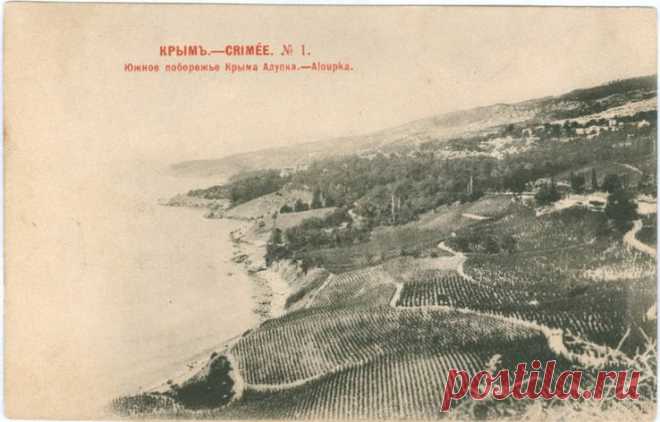 Крым.Алупка.Южное побережье.Изд.Шерер и Набгольц №1.1902 г.Открытка. - «VIOLITY» Аукцион Антиквариата