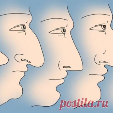 Что форма носа может поведать о вашем характере!