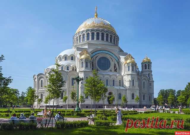 Раиса Степаненко (Михайлик)
77 лет, Россия, г. Орехово-Зуево (Московская область)