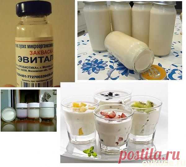 Полезный живой йогурт! - Простые рецепты Овкусе.ру