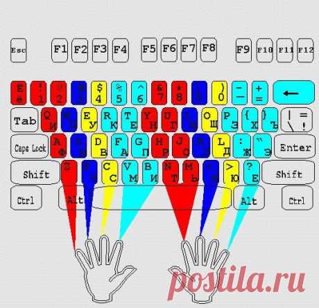 Несколько клавиатурных тренажеров.