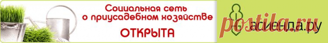 Дневник питания - diets.ru