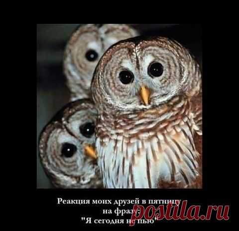 вот такая реакция.....