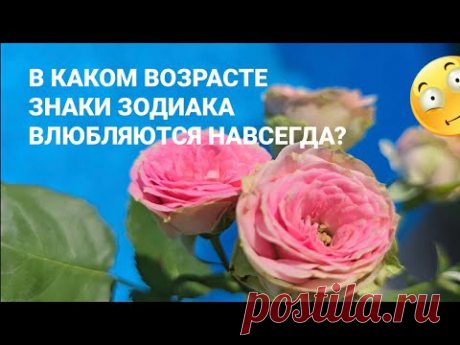 В каком возрасте знаки Зодиака влюбляются навсегда? / 20561