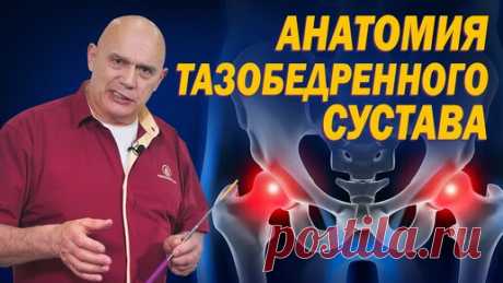 Как избежать эндопротезирования? Анатомия тазобедренного сустава и причины его поражения артрозом | Сергей Михайлович Бубновский | Дзен