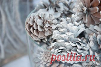 Отбеливаем сосновые шишки для новогоднего декора - мастер класс