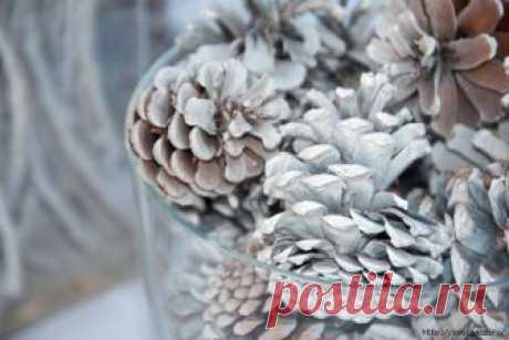 Отбеливаем сосновые шишки для новогоднего декора - мастер класс