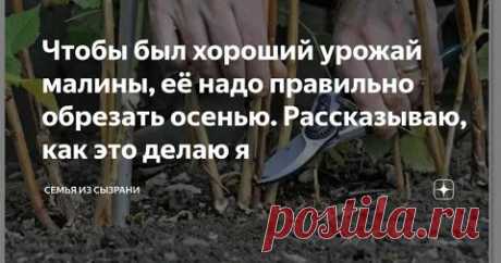 календарь ухода за малиной с весны до осени: 2 тыс изображений найдено в Яндекс.Картинках