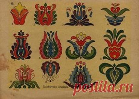 (2) Светлана Ушакова