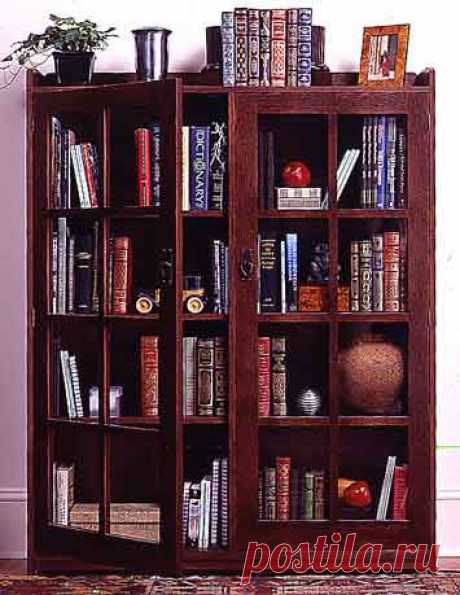 tb_bookcaselead.jpg (355×459)