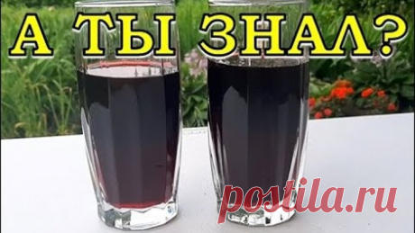 Домашнее ВИШНЕВОЕ ВИНО. Самый вкусный рецепт🍒👍👍👍