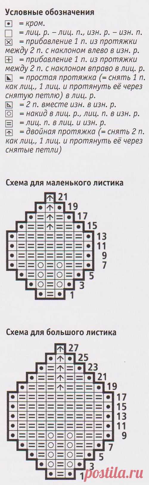 Жакет украшенный розами