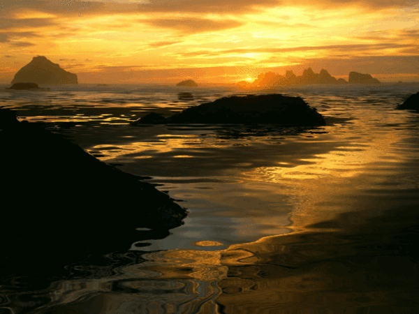 s-55864.gif (600×450)
