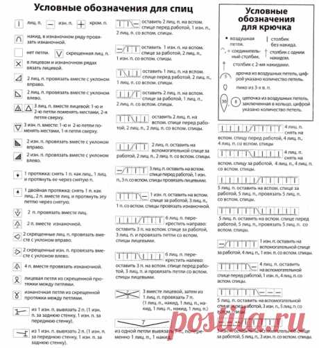 Жакет с шалевым воротником