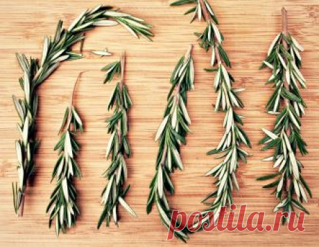 To me, rosemary is a given.  What I mean by that is, whatever life gives me and wherever I end up, I will always have rosemary.  While thyme and sage are also amazing perennial herbs with multiple uses, for some reason I have a special fondness for rosemary.  It may have started in my early days of learning how to cook, as it was an approachable herb that I could easily add to savory dishes.  Maybe it was because I actually knew what it looked like as a plant, whereas back...