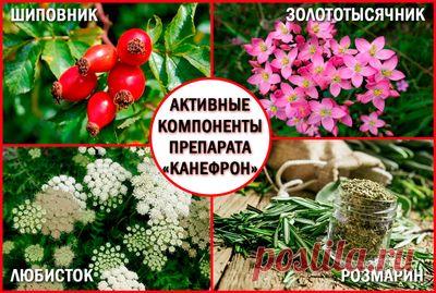 Высыпания на коже при болезнях поджелудочной железы