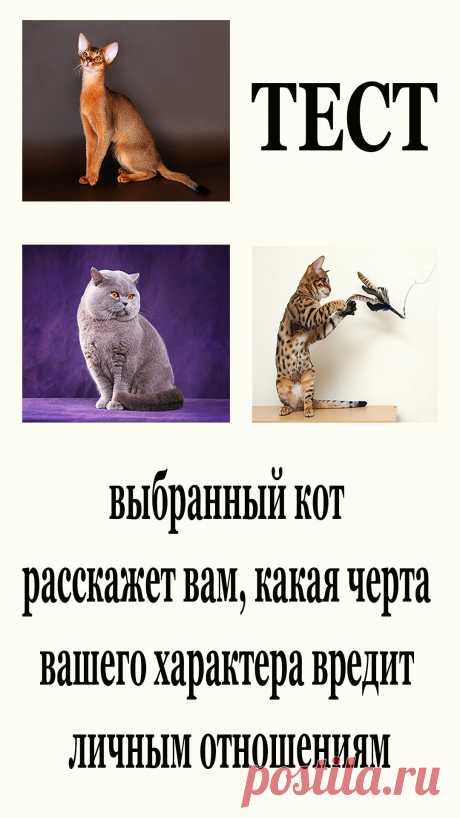 Предлагаем пройти визуальный тест, который поможет вам понять, какая черта вашего характера может негативно повлиять на ваши отношения с любимым человеком.