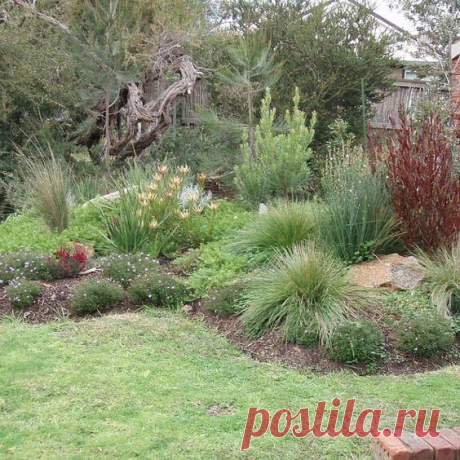 hipages.com.au is a renovation resource and online community with thousands of home and garden photos | Gardening