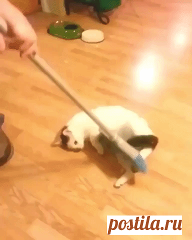 Одноклассники