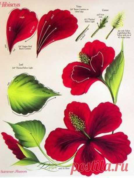 Set of ONE STROKE FLOWERS INSTRUCTIONAL GUIDES Donna Dewberry 32 FLOWERS | One Stroke, Painted Roses and Rose