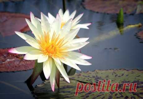 Редактировать описание