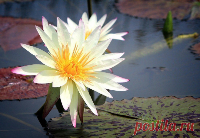 Редактировать описание