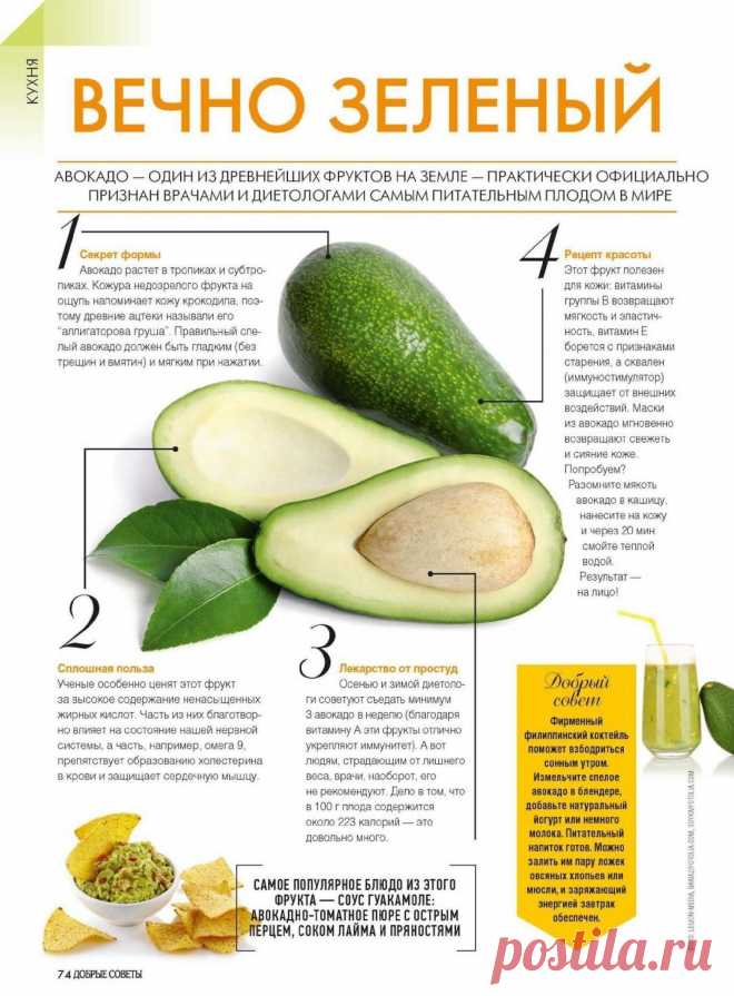 О пользе авокадо