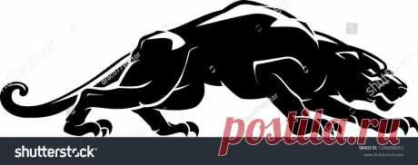 Animals | Studio77 FX vector: коллекция стоковых фотографий и изображений | Shutterstock