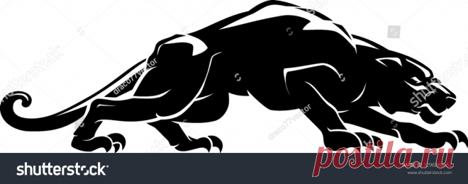 Animals | Studio77 FX vector: коллекция стоковых фотографий и изображений | Shutterstock