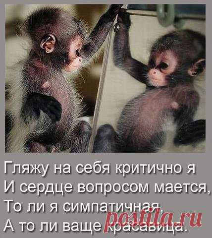 Позитивные открытки, открытки для хорошего настроения, смешные открытки - cтраница 8