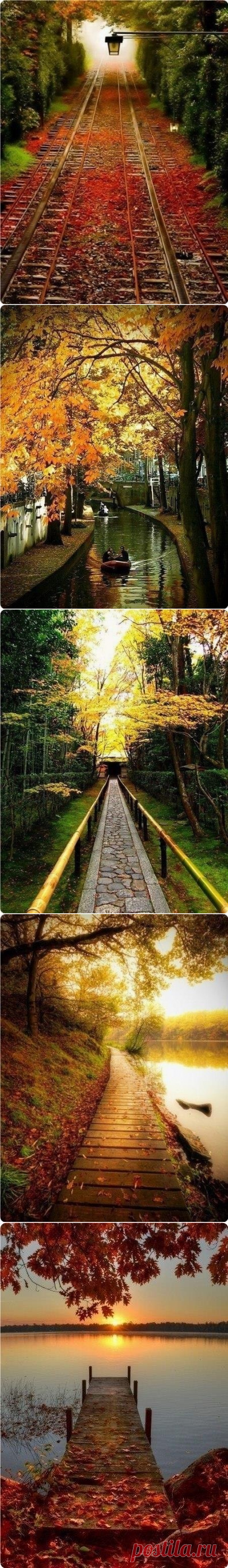 Шикарная осень!