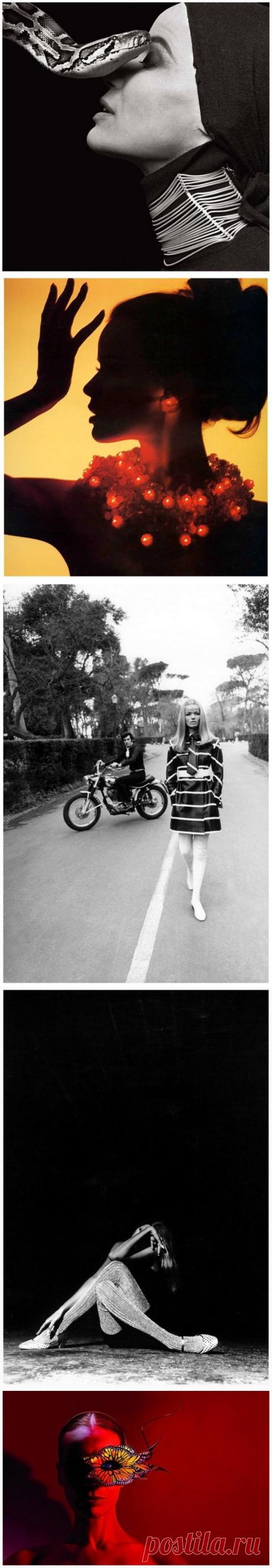 Вера Готлиб Анна фон Лендорф (Верушка)