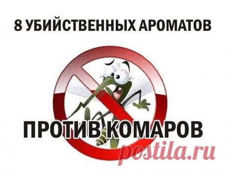 8 УБИЙСТВЕННЫХ ЗАПАХОВ ПРОТИВ КОМАРОВ!!!