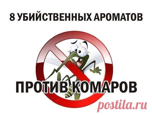 8 УБИЙСТВЕННЫХ ЗАПАХОВ ПРОТИВ КОМАРОВ!!!