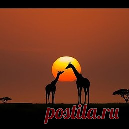 Юрий: https://youtu.be/vLEq35yWi2o