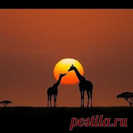 Юрий: https://youtu.be/vLEq35yWi2o