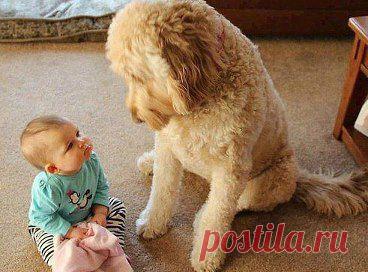 - Ты кусаешься? Нет! И мне нечем.