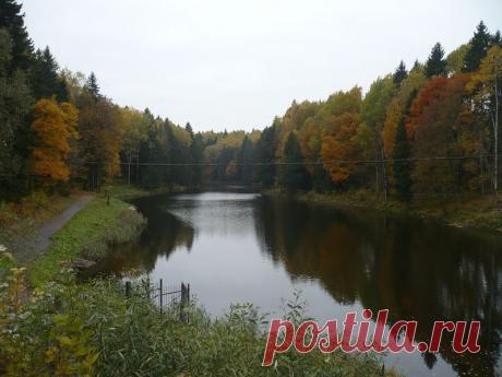 ВСЁ ЛУЧШЕЕ ИЗ YOU TUBE (16 плюс)
Людмила Вакал  (Ерофейкина)