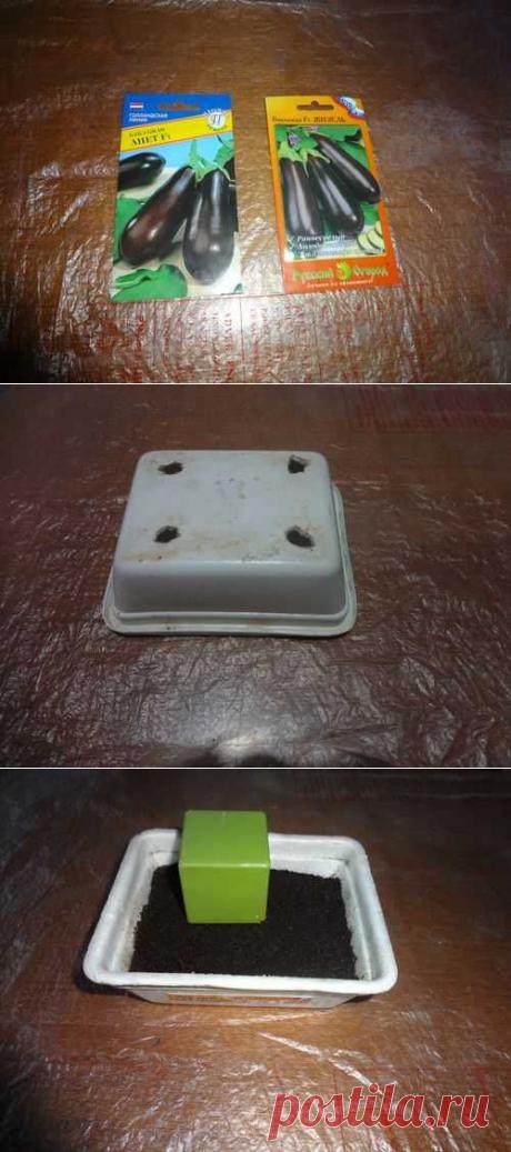 МАСТЕР-КЛАСС Игоря Лядова о том, как сеять семена на рассаду