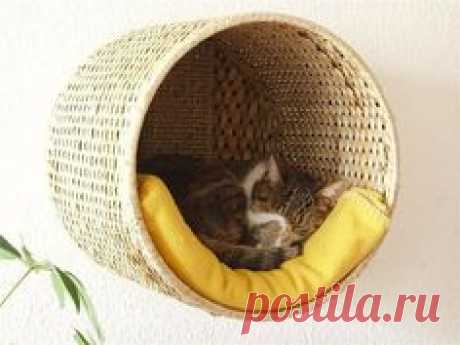 Your cat will love this IKEA hack.