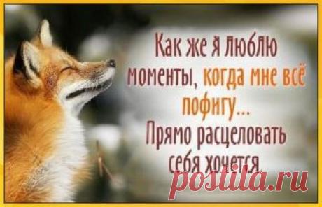 Убойные шутки для настроения! Иногда бывает так, что не хватает всего одной шутки юмора, чтоб настроение существенно улучшилось.
Исходя из этого, была сделана эта подборка, включающая в себя 20 позитивных открыток.
Надеемся, что с...