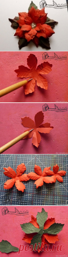 Пуансеттия с шаблонами и МК.