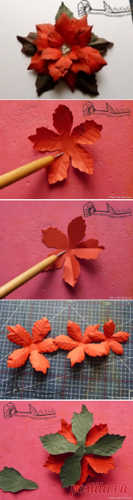 Пуансеттия с шаблонами и МК.