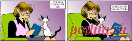 Признаки кошкости: 20 лет самому крутому комиксу о котиках