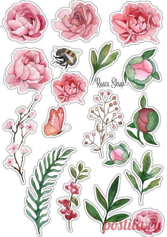(115) Pinterest