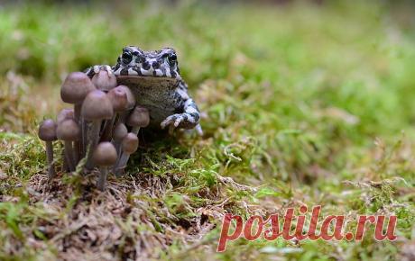 35PHOTO - Вячеслав Мищенко - Уходи! Это все мое!